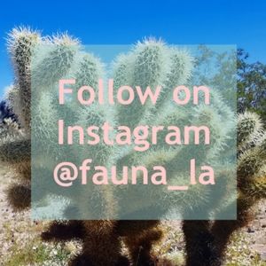 Follow me on Instagram!